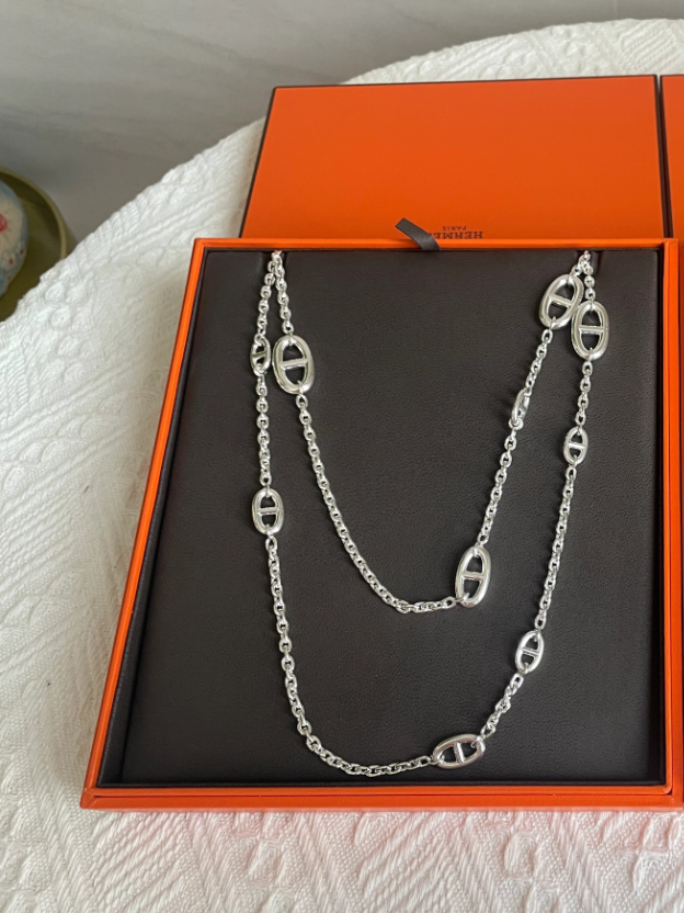 [⭐Renara]Classic Silver Sweater Chain