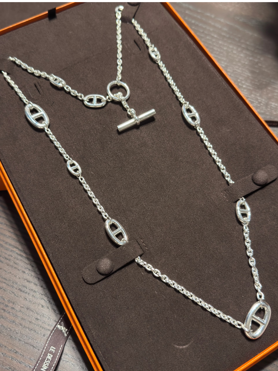 [⭐Renara]Classic Silver Sweater Chain